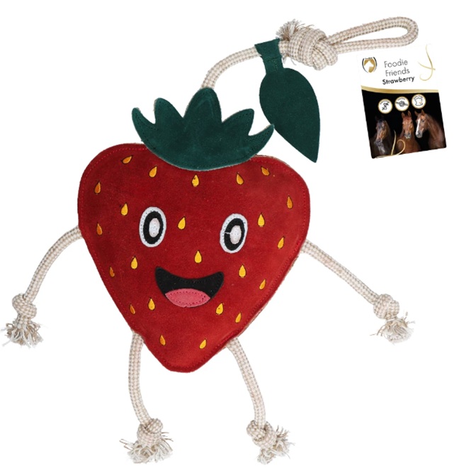 GIOCO PER CAVALLI - FRIENDS STRAWBERRY  